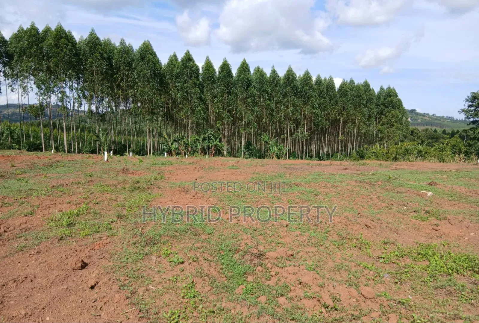 Prime Plots for Sale at Mpigi~Kalagala Divine Estate Along Masaka Road