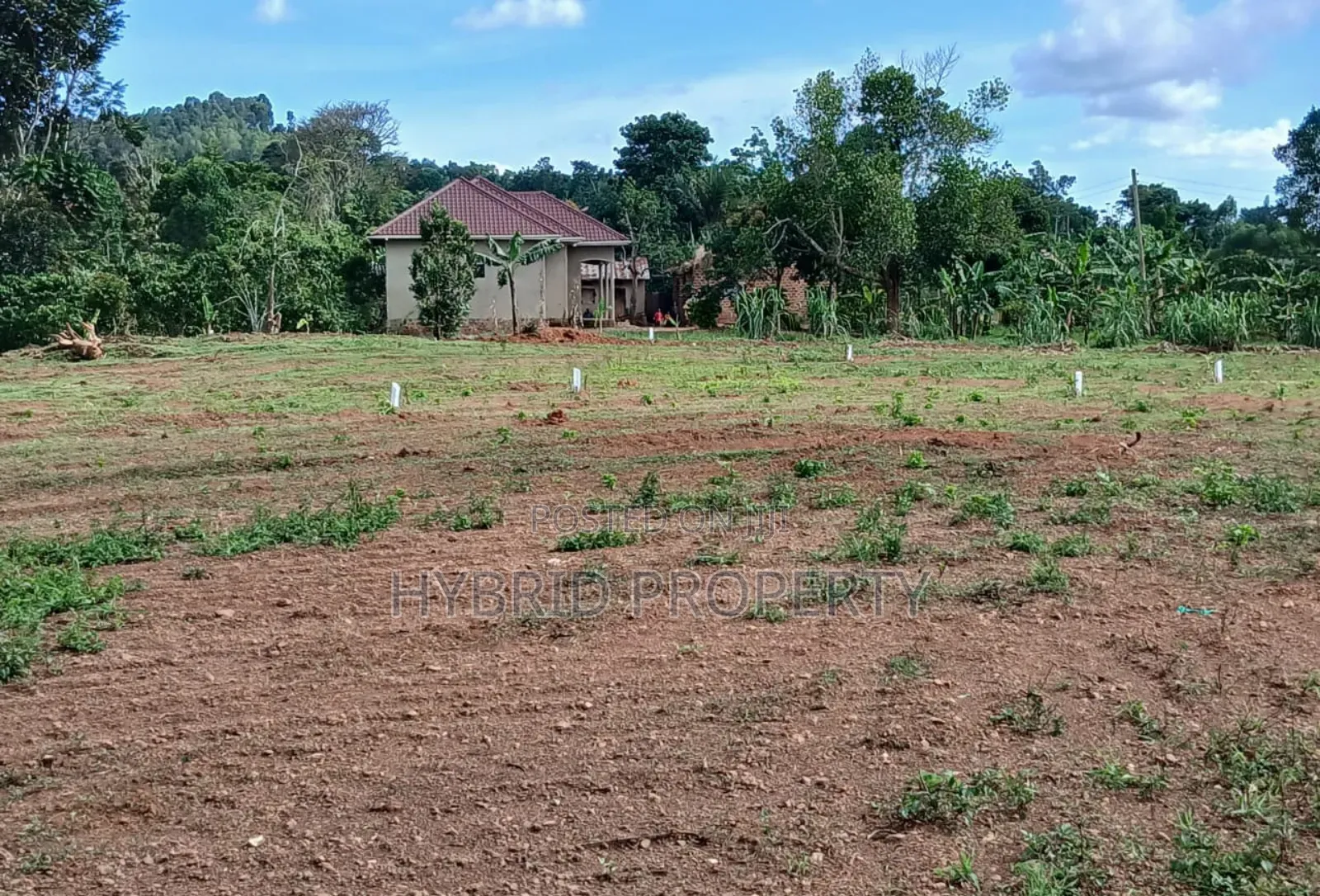 Prime Plots for Sale at Mpigi~Kalagala Divine Estate Along Masaka Road
