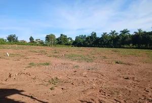 Prime Plots for Sale at Mpigi~Lungala Town View Land Estate~Masaka Rd