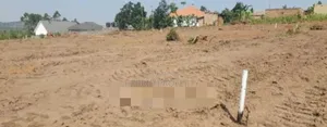 Prime Plots For Sale In Mpigi~Lungala Town Along Masaka Road