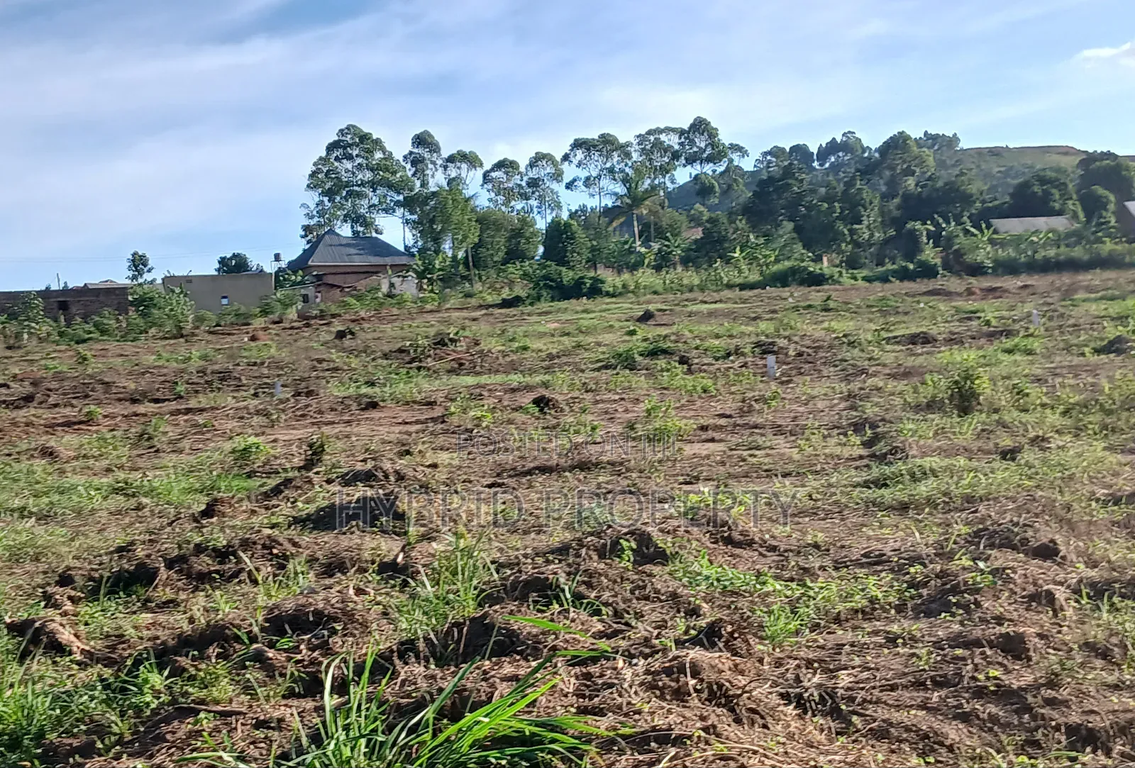 Prime Plots For Sale In Mpigi~Lungala Town Along Masaka Road