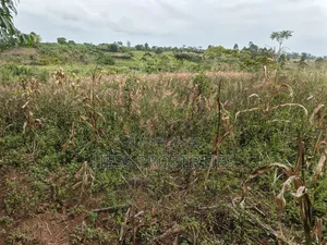 10.5acres of Land on Sale Located in Kirinda-Kyarusozi