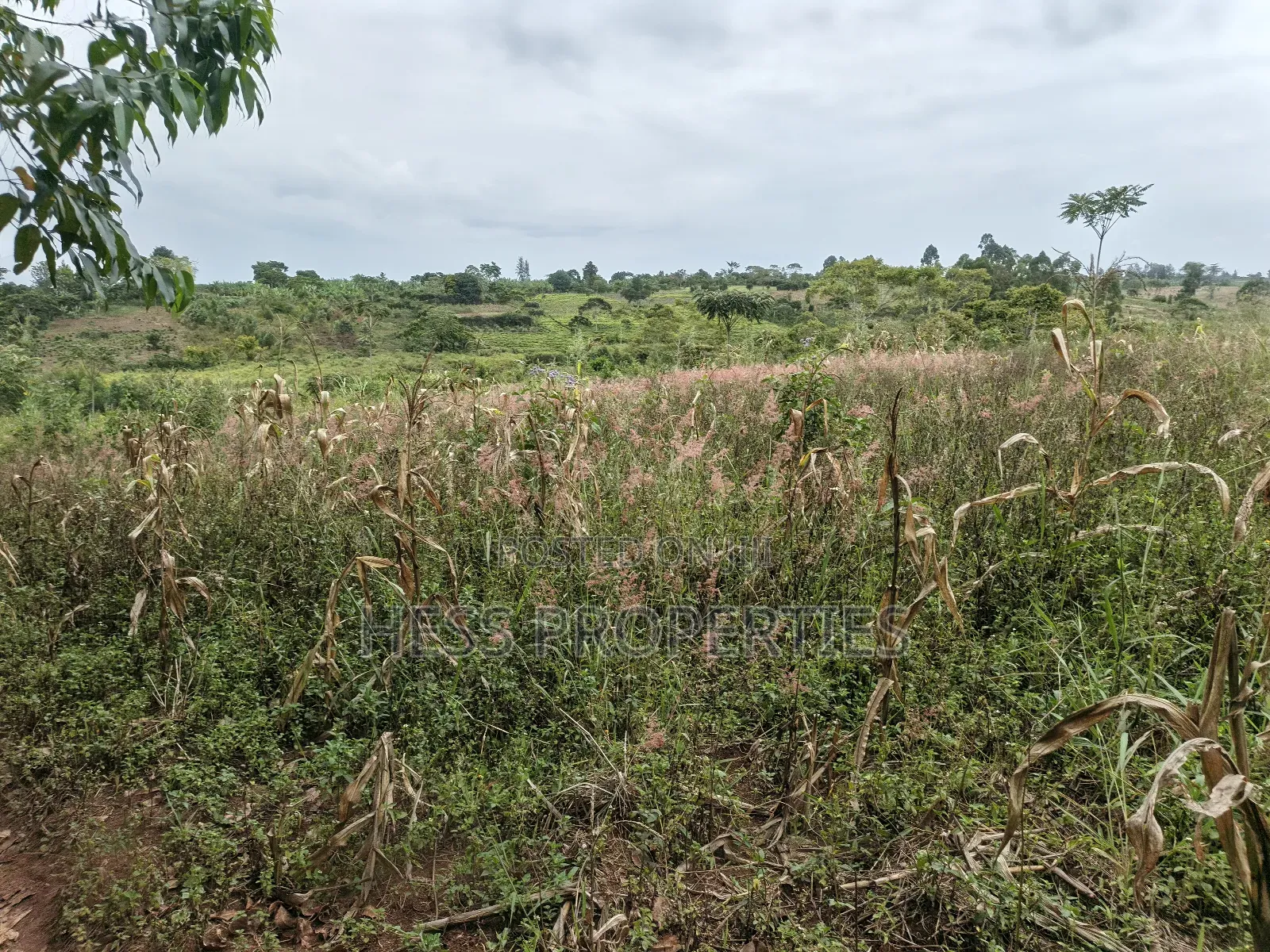 10.5acres of Land on Sale Located in Kirinda-Kyarusozi