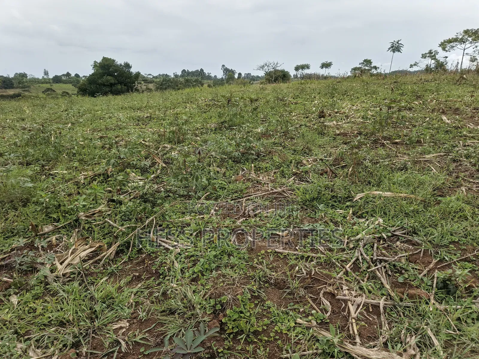 10.5acres of Land on Sale Located in Kirinda-Kyarusozi