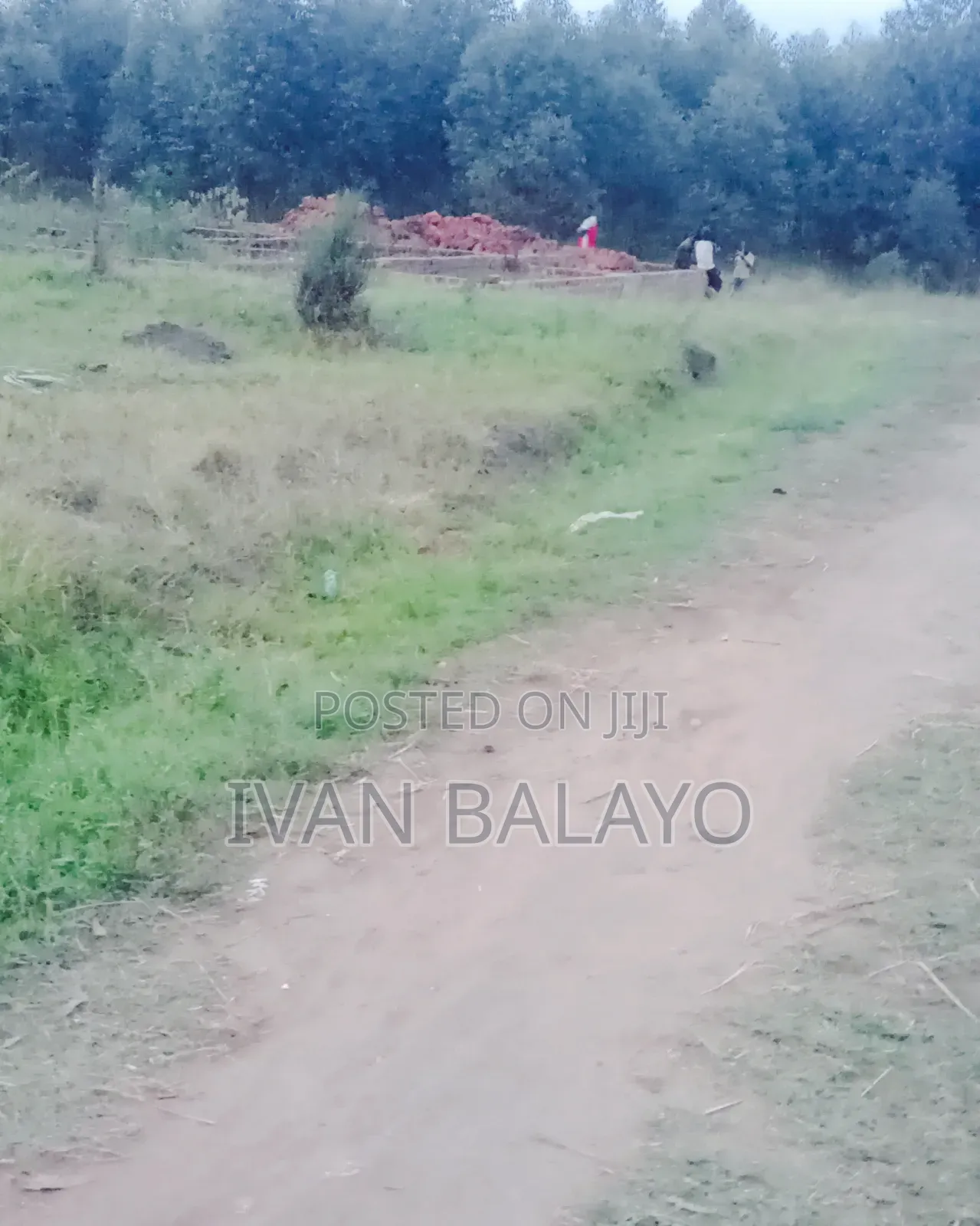 Plot of Land