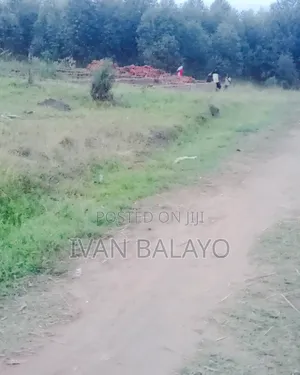 Plot of Land