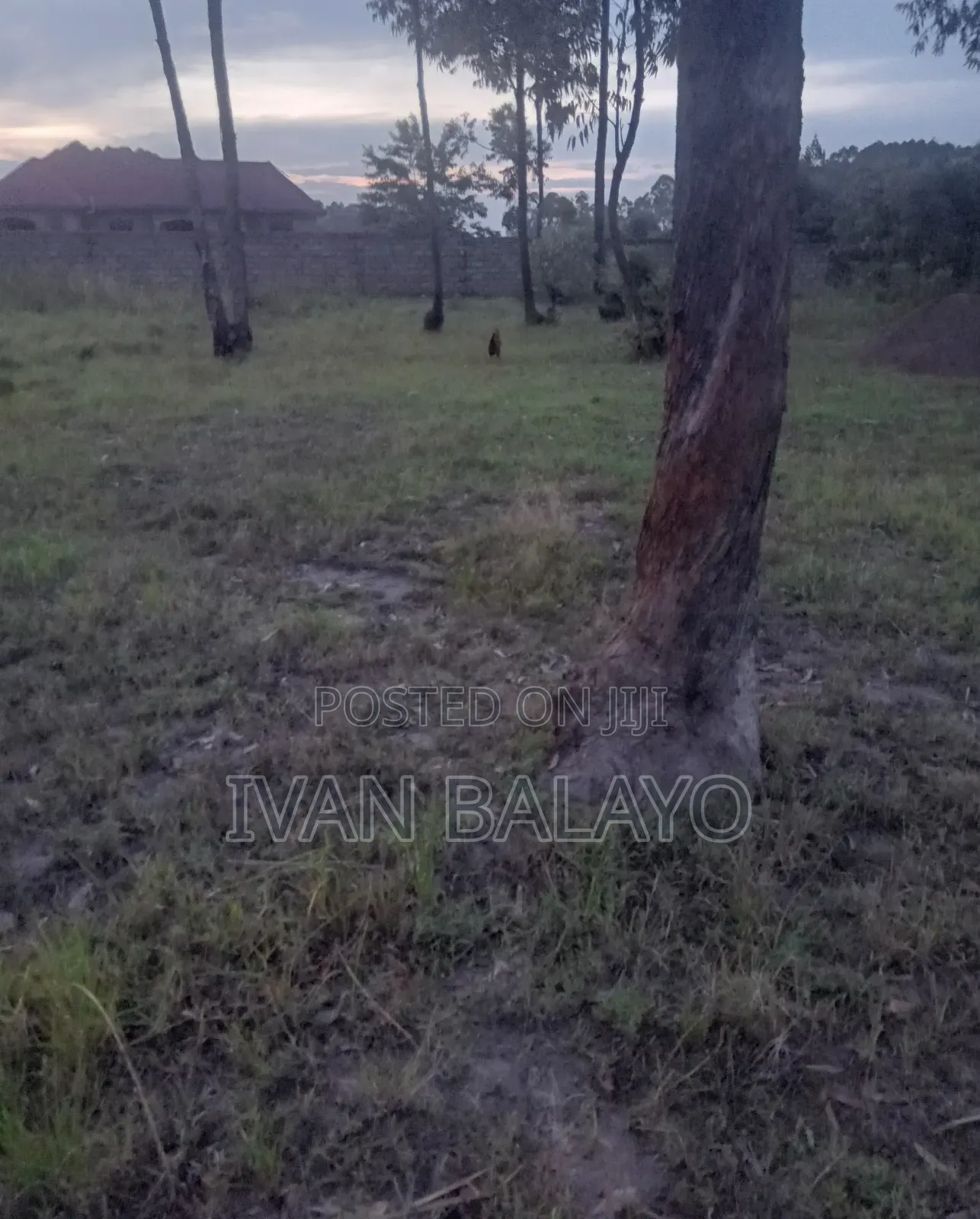 Plot of Land