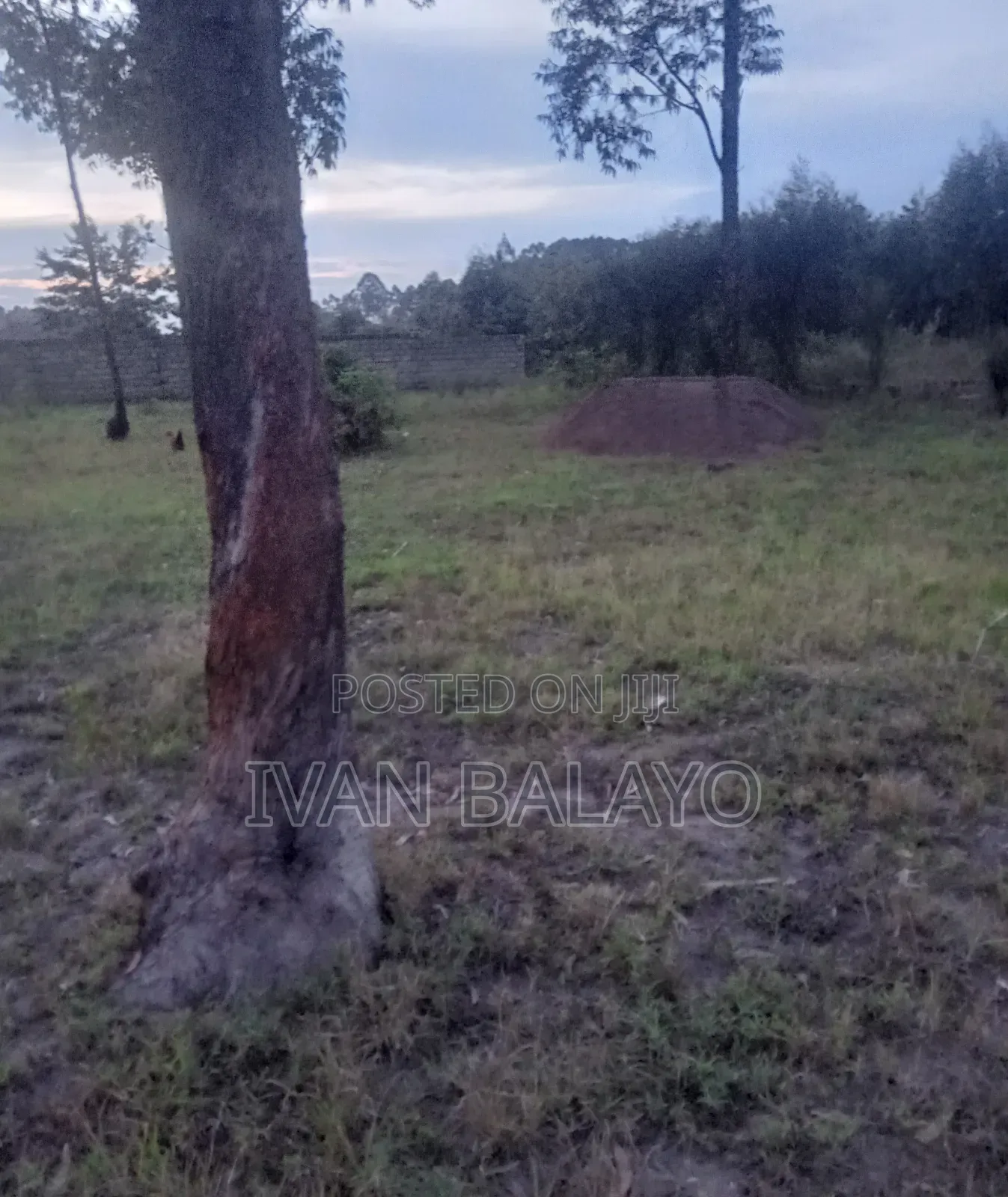 Plot of Land
