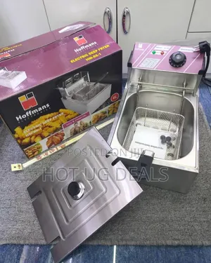 Hoffmans 6l Electric Deep Fryer –  Model Hm-88-1 - Silver