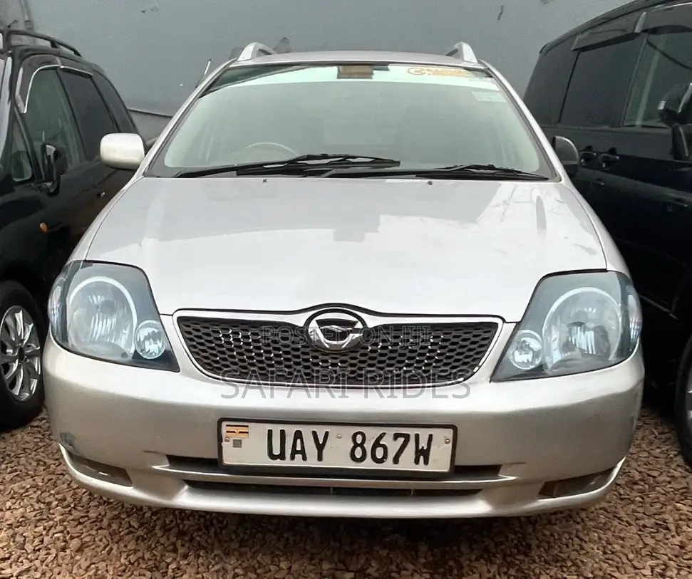 Toyota Corolla Fielder 2005 Silver
