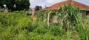 Naalya 38 Decimals for Sale