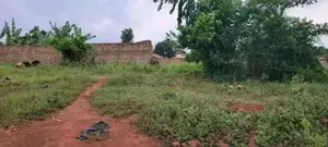Naalya Plot for Sale on 35 Decimals