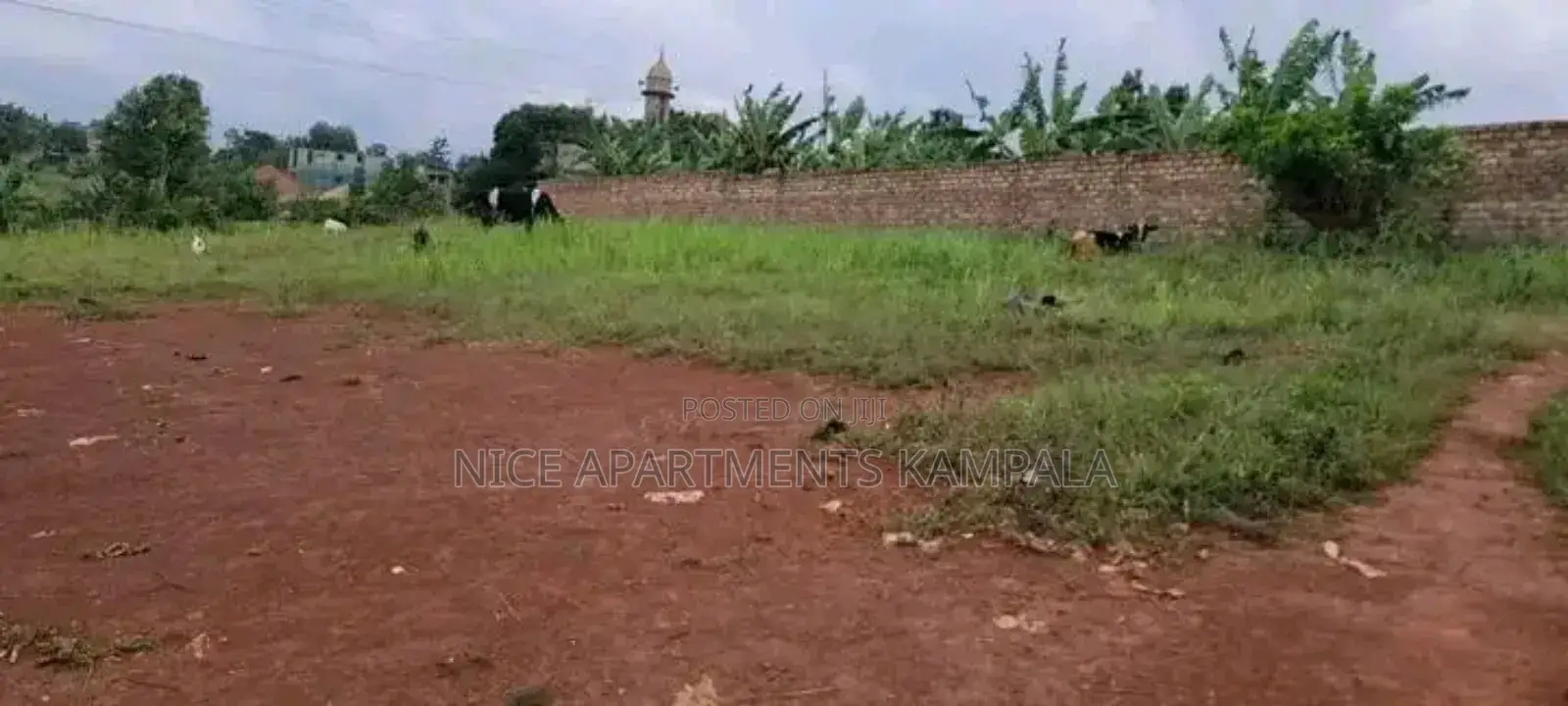 Naalya Plot for Sale on 35 Decimals