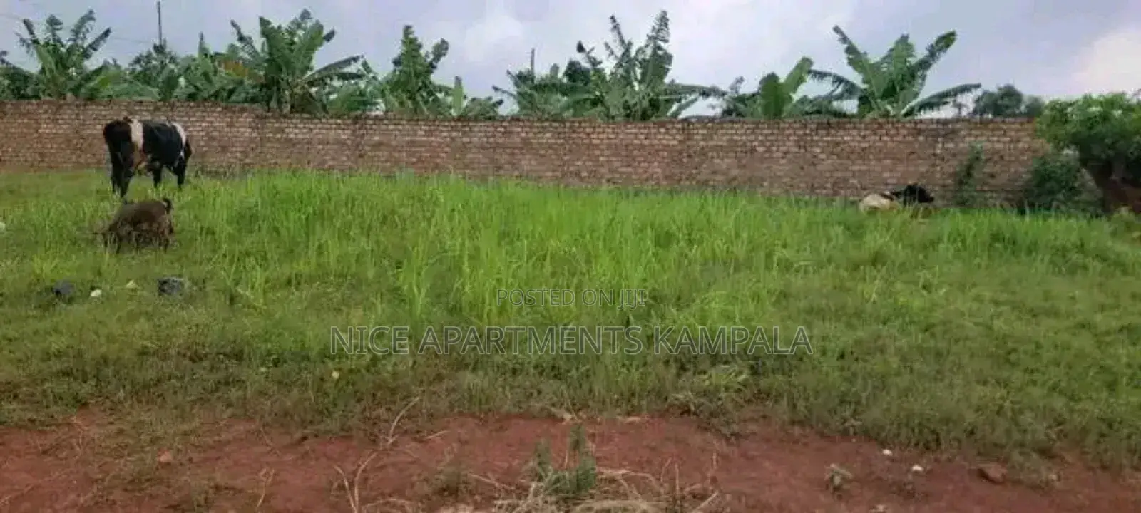 Naalya Plot for Sale on 35 Decimals