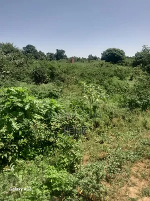 Buwambo Lugo Titled Land