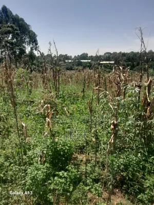 Buwambo Lugo Titled Land