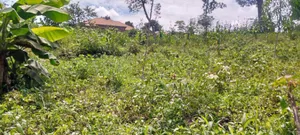 Quick Sale Land 1acre