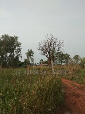 Land for Sale in Gulu Pageya