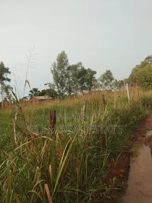 Land for Sale in Gulu Pageya