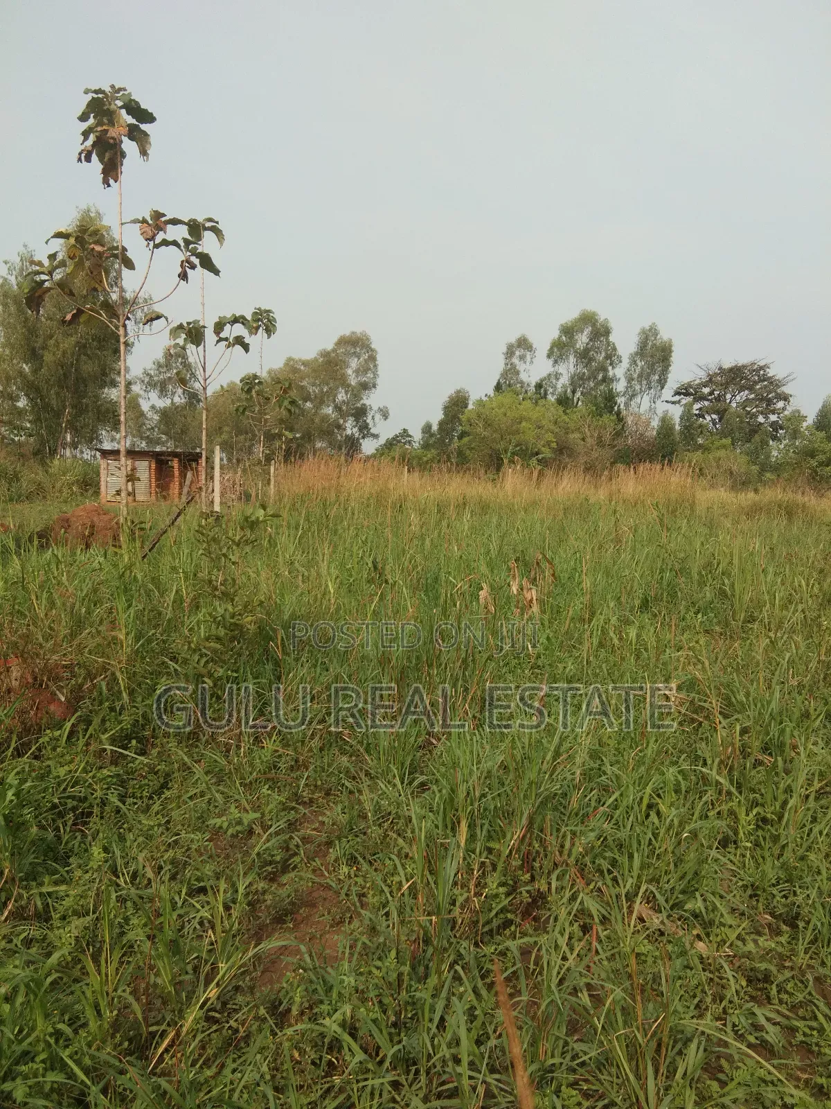 Land for Sale in Gulu Pageya