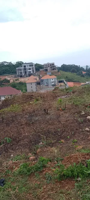 Hot Deal in Seguku 4 Acres for Sale 900m Each
