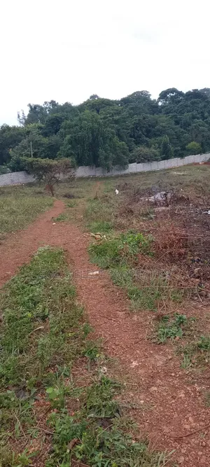 Beautiful 50 by 100ft Plot for Sale in Seguku Katale 150m