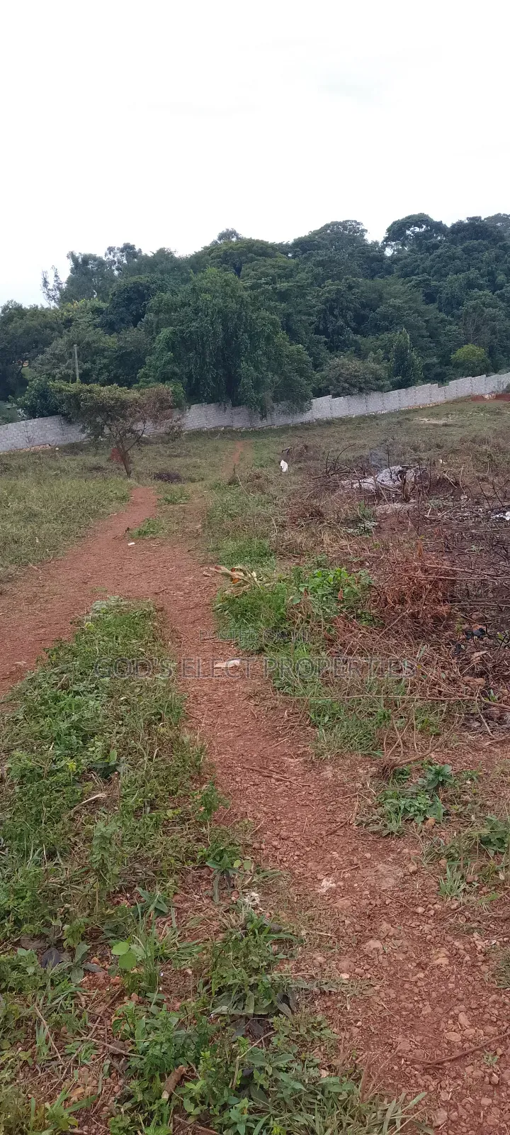 Beautiful 50 by 100ft Plot for Sale in Seguku Katale 150m