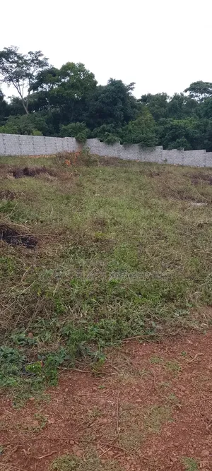 Beautiful 50 by 100ft Plot for Sale in Seguku Katale 150m