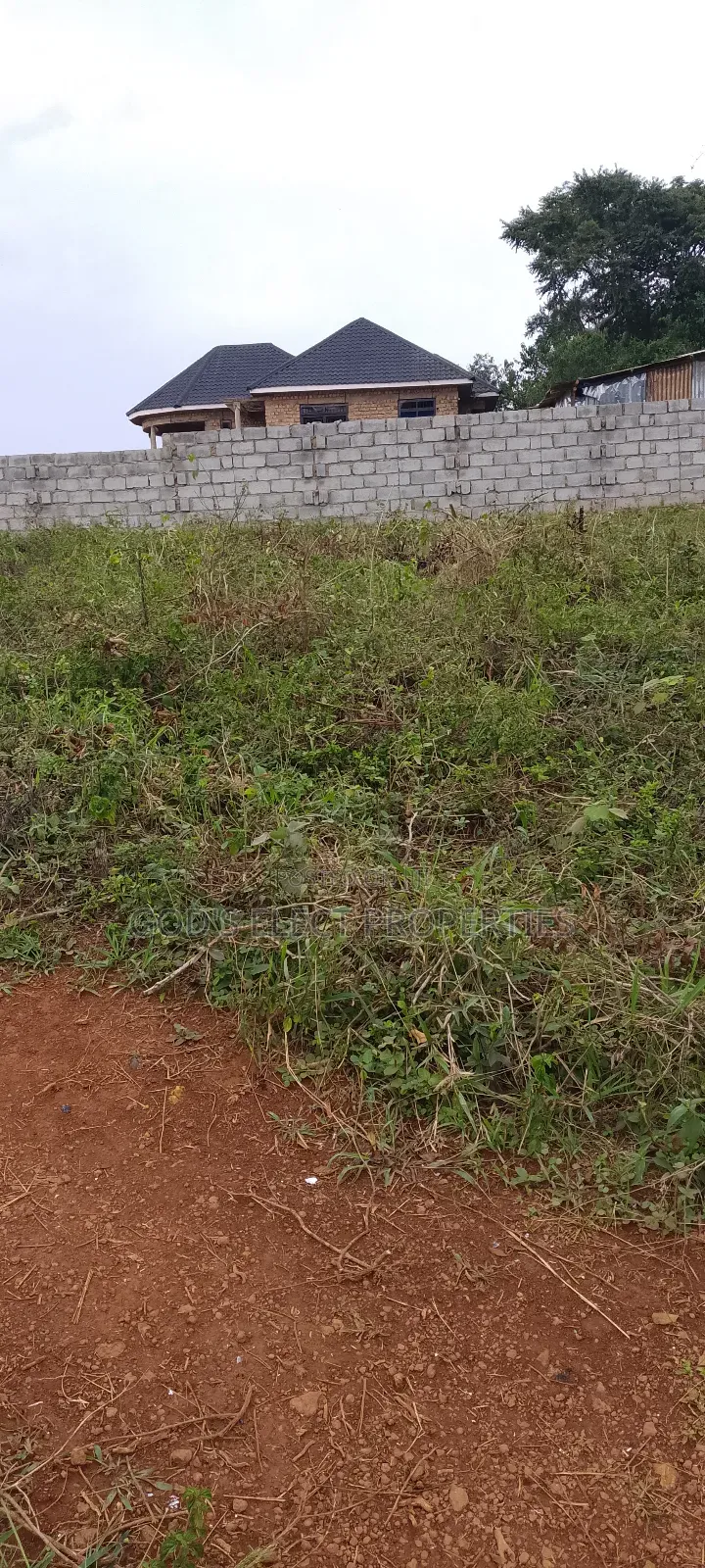 Beautiful 50 by 100ft Plot for Sale in Seguku Katale 150m