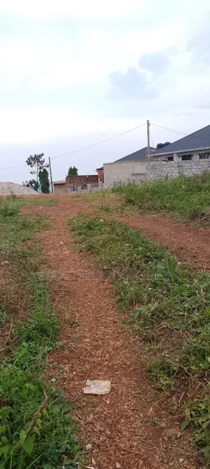 Beautiful 50 by 100ft Plot for Sale in Seguku Katale 150m