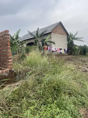 Plot 50 by 50 at Kakiri