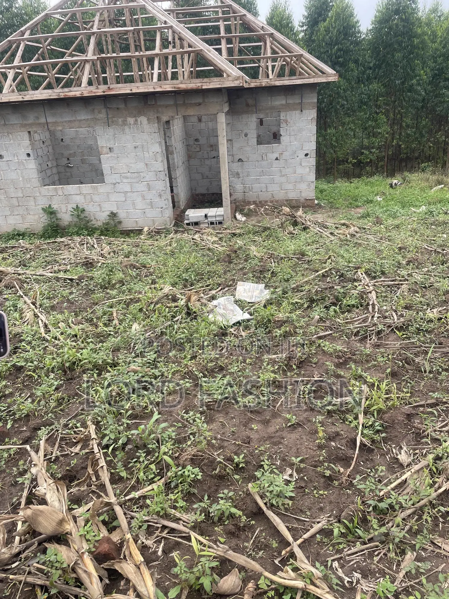 Plot 50 by 50 at Kakiri