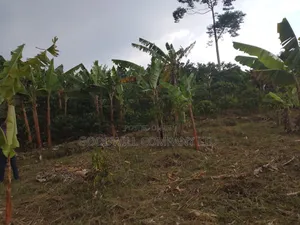 4 Acres of Land at Nakifuma Kalagi Town Few Meters From Tarmac