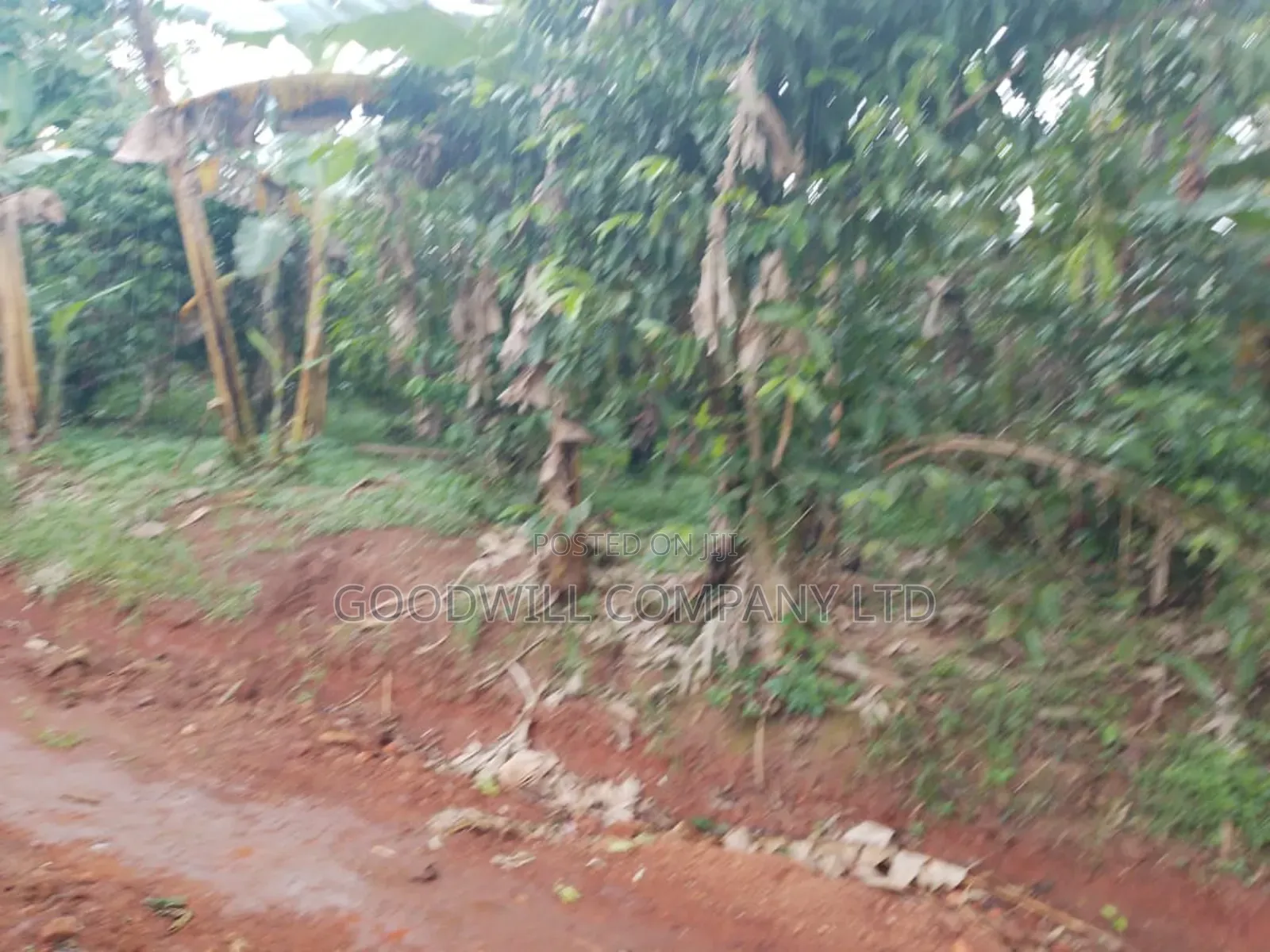 4 Acres of Land at Nakifuma Kalagi Town Few Meters From Tarmac
