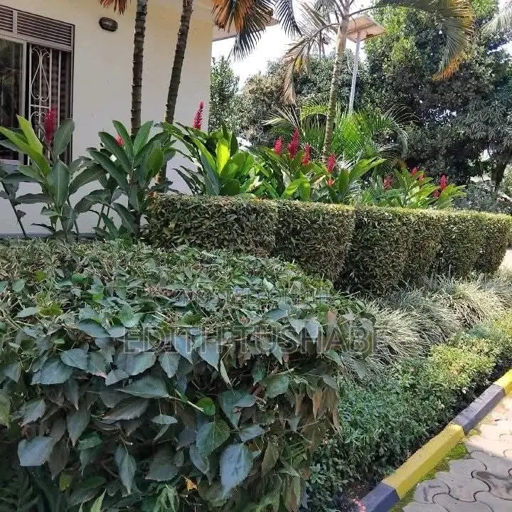 Landscaping And Gardening