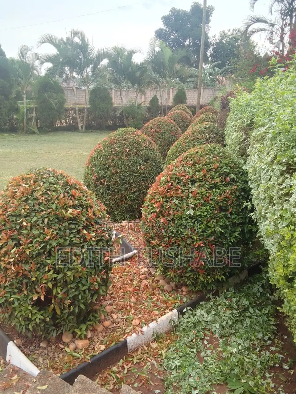 Landscaping And Gardening