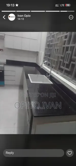 Elegant Black Granite Kitchen Countertop