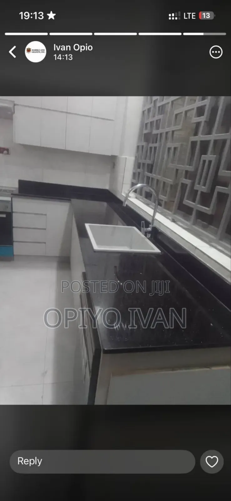 Elegant Black Granite Kitchen Countertop