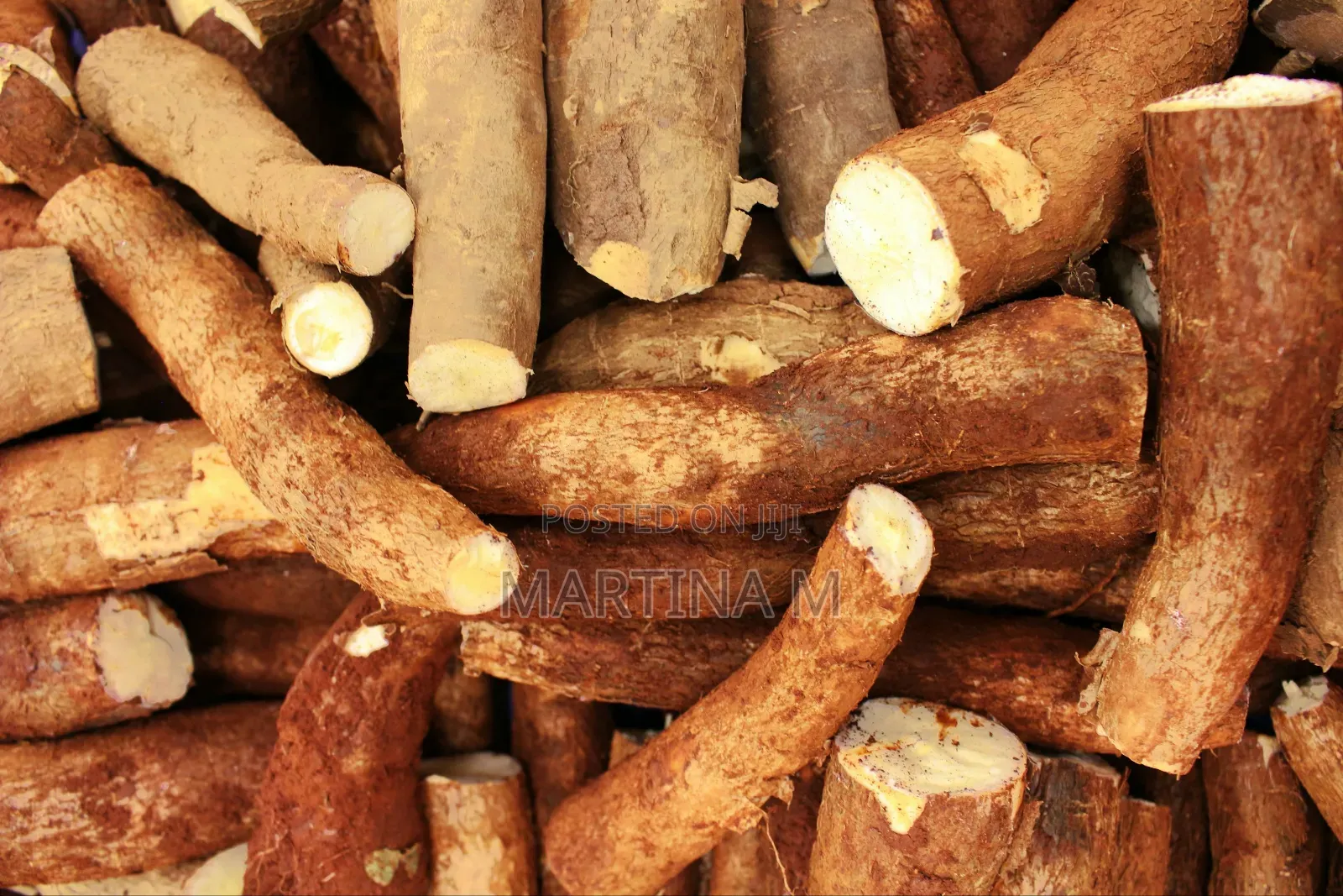 Fresh Cassava Roots for Sale in Kampala, Uganda!