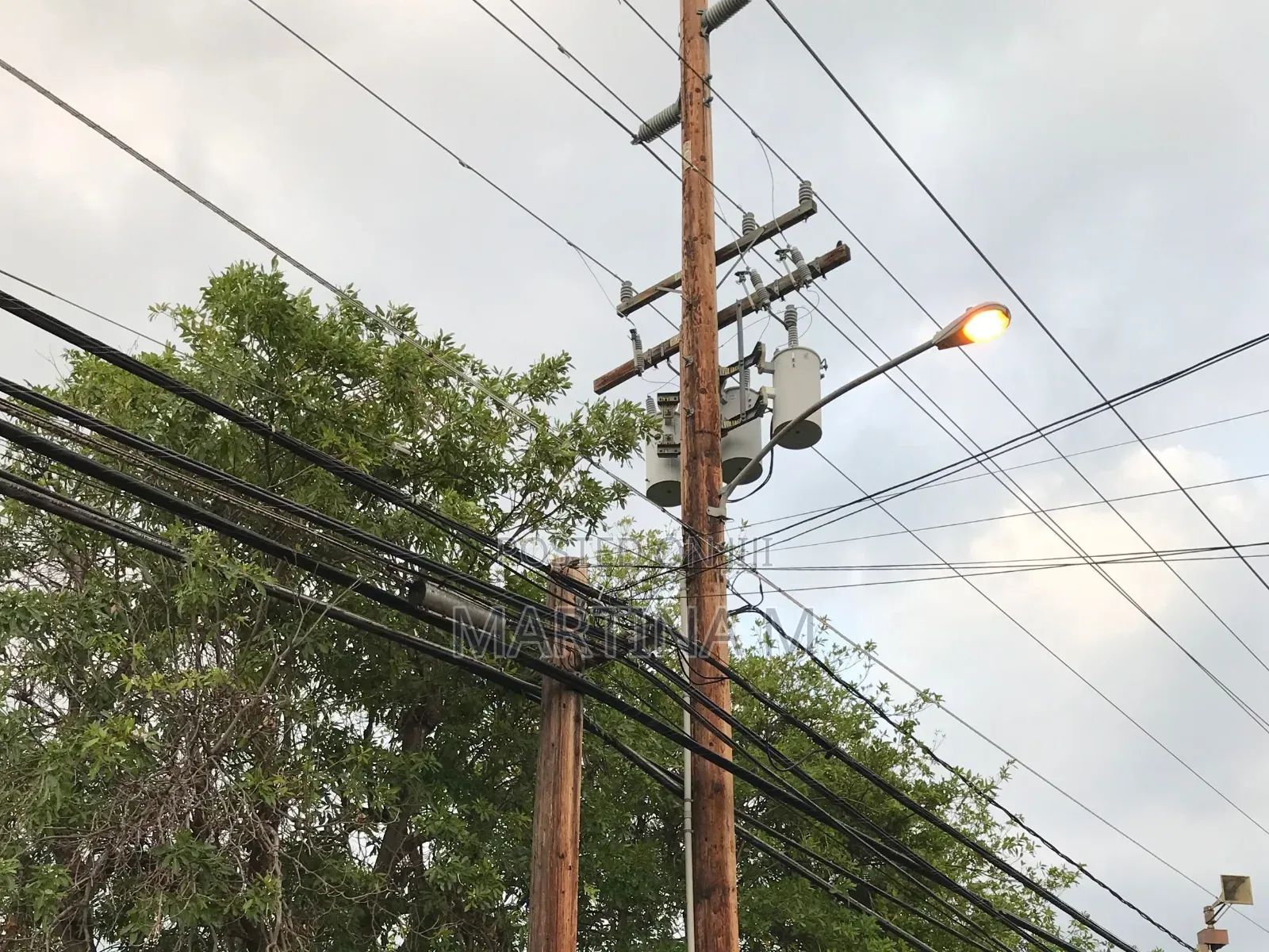 Internet and Electricity Cable Poles for Sale in Kampala, Uganda!