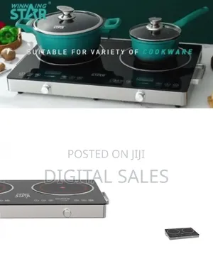 Winningstar Sleek Double Burner Electric Cooktop With Precision