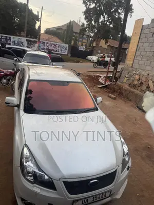 The Usa Chameleon Tint for All Ur Car Type