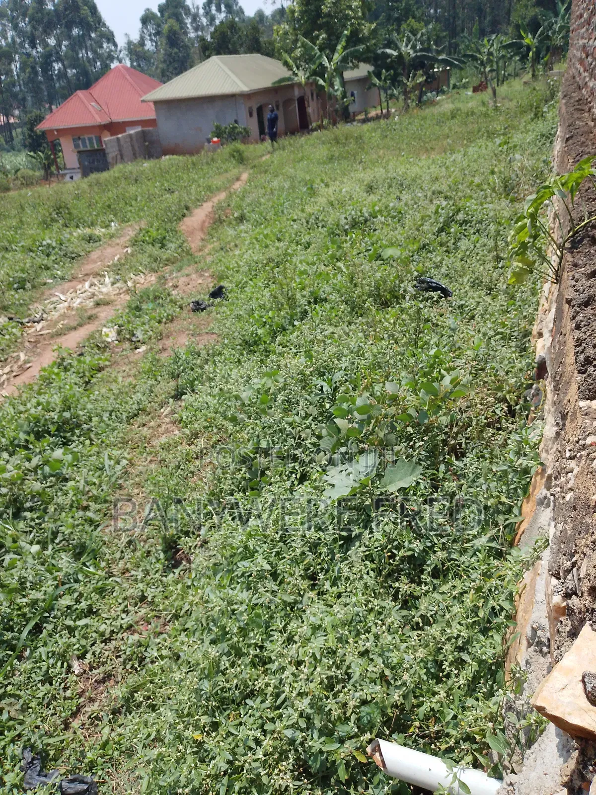 Plot Sale at 90m Ugx 100by100fts in Manyangwa