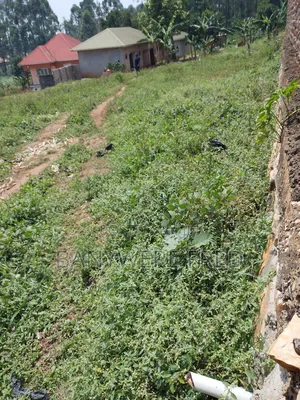Plot Sale at 90m Ugx 100by100fts in Manyangwa