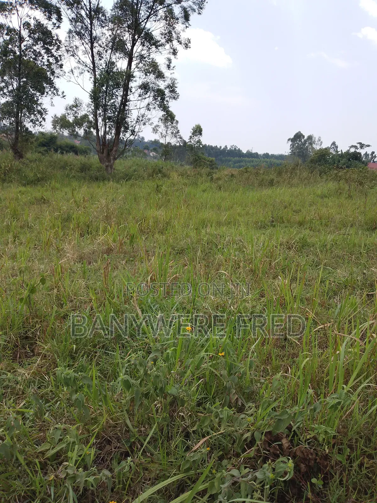 1.5 Acer of Land for Sale at 130m Ugx in Kiwumu Mukono