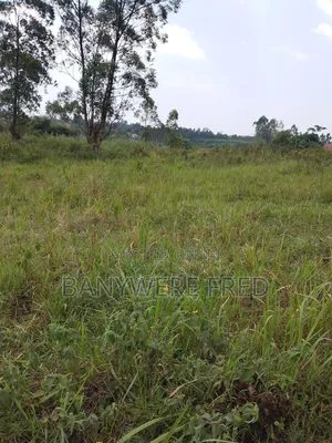1.5 Acer of Land for Sale at 130m Ugx in Kiwumu Mukono