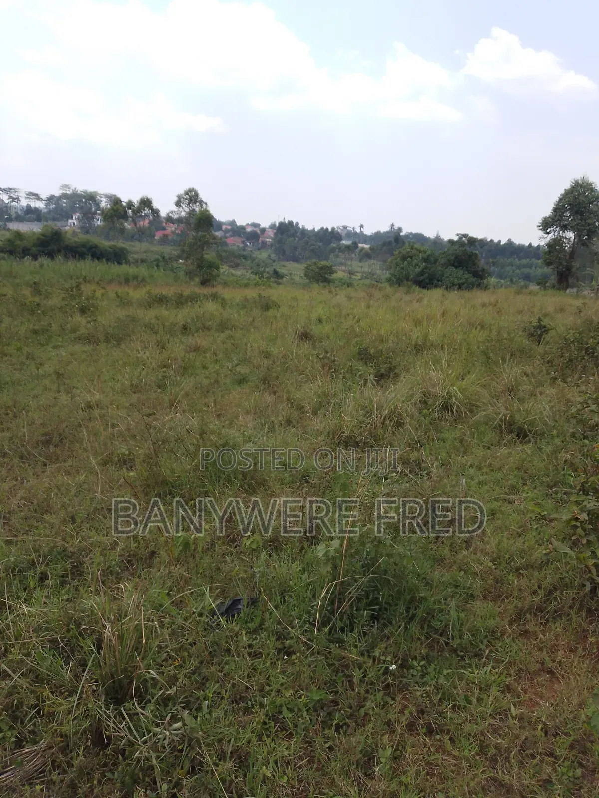 1.5 Acer of Land for Sale at 130m Ugx in Kiwumu Mukono