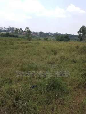 1.5 Acer of Land for Sale at 130m Ugx in Kiwumu Mukono