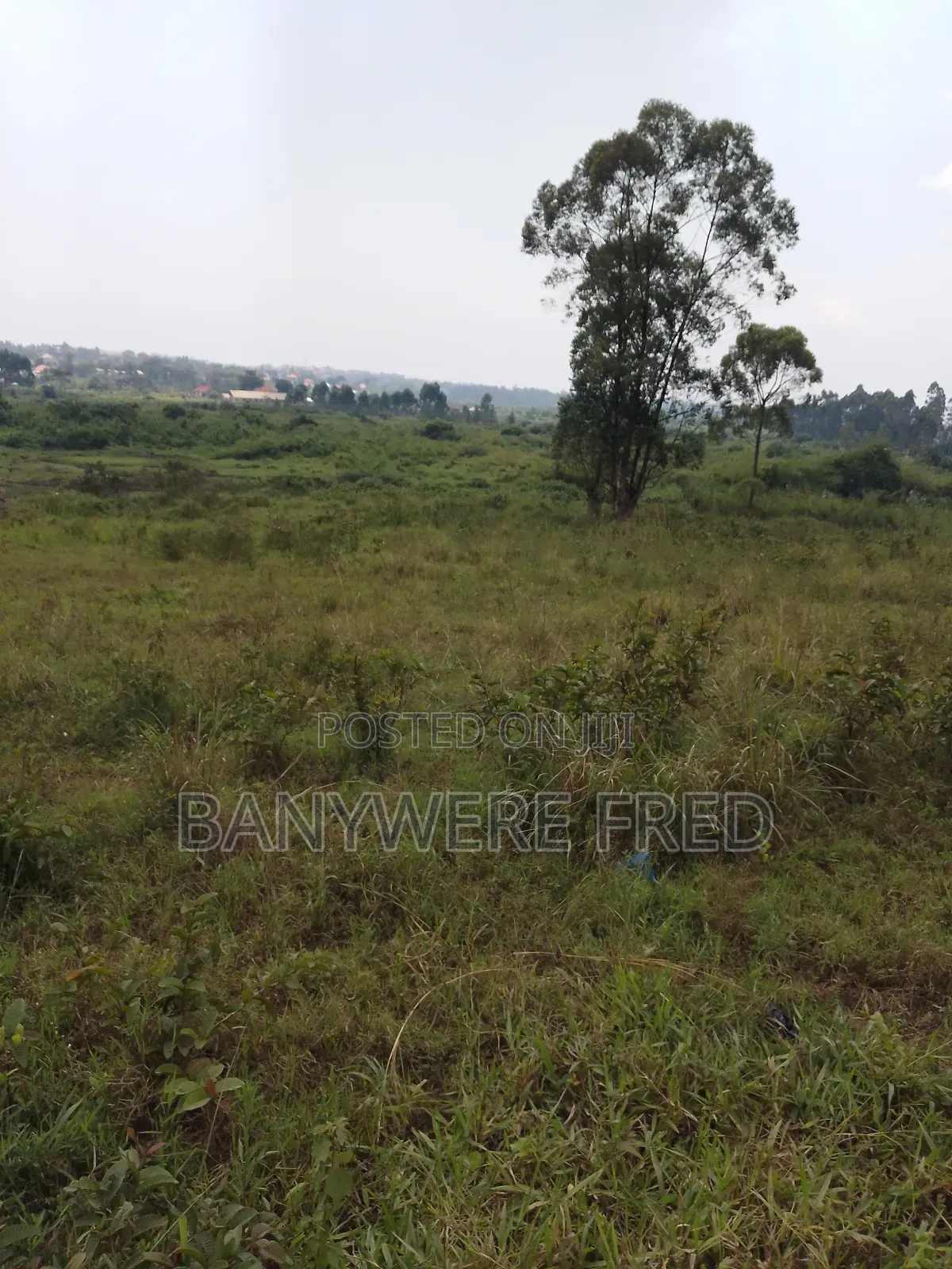 1.5 Acer of Land for Sale at 130m Ugx in Kiwumu Mukono