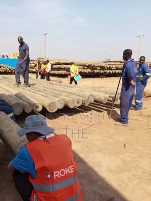Cca Treated Wooden Poles/Timber